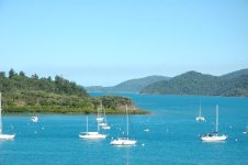 shute harbour1.jpg