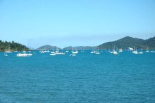 shute harbour5.jpg