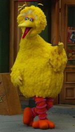 300px-BigBird4D.jpg