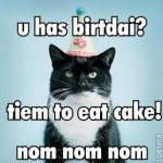 cat_birthday.jpg