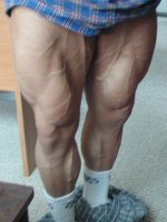 4-29-09 legs 012.JPG