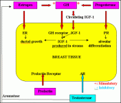 figure1.gif