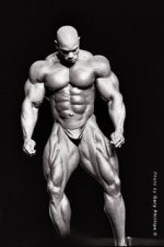 flex_wheeler.jpg