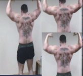 back double biceps.jpg