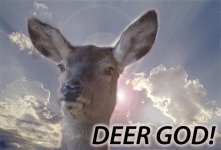 11deergod.jpg