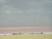 pink lake.jpg