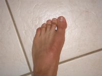 Foot (Small).JPG