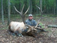 2006 elk 011.jpg