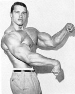 schwarzenegger1.jpg